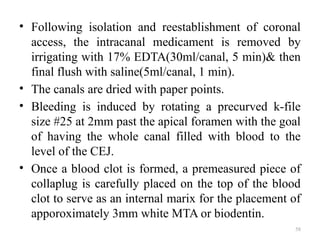 58
• Following isolation and reestablishment of coronal
access, the intracanal medicament is removed by
irrigating with 17% EDTA(30ml/canal, 5 min)& then
final flush with saline(5ml/canal, 1 min).
• The canals are dried with paper points.
• Bleeding is induced by rotating a precurved k-file
size #25 at 2mm past the apical foramen with the goal
of having the whole canal filled with blood to the
level of the CEJ.
• Once a blood clot is formed, a premeasured piece of
collaplug is carefully placed on the top of the blood
clot to serve as an internal marix for the placement of
apporoximately 3mm white MTA or biodentin.
 