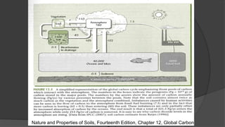 Nature and Properties of Soils, Fourteenth Edition, Chapter 12, Global Carbon
 