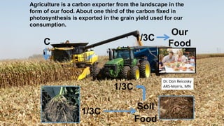 Agriculture is a carbon exporter from the landscape in the
form of our food. About one third of the carbon fixed in
photosynthesis is exported in the grain yield used for our
consumption.
1/3C
Our
Food
1/3C
Soil
Food
1/3C
C
Dr. Don Reicosky
ARS-Morris, MN
 
