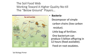 The Soil Food Web
Working Toward A Higher Quality No-till
The “Below Ground” Players…
• Bacteria-
Decomposer of simple
carbon chains (low carbon
residue).
Little bag of fertilizer.
One bacterium can
produce 5 billion offspring in
12 hours (food available).
Feed on root exudates.
Soil Biology Primer
 