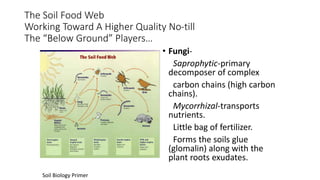 The Soil Food Web
Working Toward A Higher Quality No-till
The “Below Ground” Players…
• Fungi-
Saprophytic-primary
decomposer of complex
carbon chains (high carbon
chains).
Mycorrhizal-transports
nutrients.
Little bag of fertilizer.
Forms the soils glue
(glomalin) along with the
plant roots exudates.
Soil Biology Primer
 