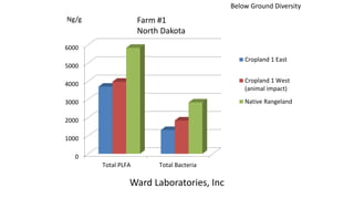 0
1000
2000
3000
4000
5000
6000
Total PLFA Total Bacteria
Cropland 1 East
Cropland 1 West
(animal impact)
Native Rangeland
Ng/g
Ward Laboratories, Inc
Farm #1
North Dakota
Below Ground Diversity
 