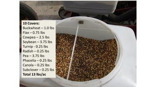 10 Covers:
Buckwheat – 1.0 lbs
Flax – 0.75 lbs
Cowpea – 2.5 lbs
Soybean – 3.75 lbs
Turnip - 0.25 lbs
Radish – 0.25 lbs
Pea – 3.75 lbs
Phacelia – 0.25 lbs
Canola – 0.25 lbs
Subclover – 0.25 lbs
Total 13 lbs/ac
 