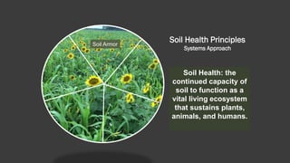 Soil Health Principles
Systems Approach
Soil Health: the
continued capacity of
soil to function as a
vital living ecosystem
that sustains plants,
animals, and humans.
Soil Armor
 