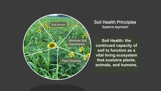 Soil Health Principles
Systems Approach
Soil Health: the
continued capacity of
soil to function as a
vital living ecosystem
that sustains plants,
animals, and humans.
Soil Armor
Minimize Soil
Disturbance
Plant Diversity
 