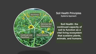 Soil Health Principles
Systems Approach
Soil Health: the
continued capacity of
soil to function as a
vital living ecosystem
that sustains plants,
animals, and humans.
Soil Armor
Minimize Soil
Disturbance
Plant DiversityContinual Live
Plant/Root
 