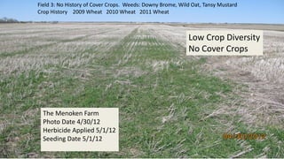 Field 3: No History of Cover Crops. Weeds: Downy Brome, Wild Oat, Tansy Mustard
Crop History 2009 Wheat 2010 Wheat 2011 Wheat
The Menoken Farm
Photo Date 4/30/12
Herbicide Applied 5/1/12
Seeding Date 5/1/12
Low Crop Diversity
No Cover Crops
 