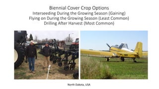 Biennial Cover Crop Options
Interseeding During the Growing Season (Gaining)
Flying on During the Growing Season (Least Common)
Drilling After Harvest (Most Common)
North Dakota, USA
 