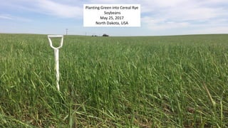 Planting Green into Cereal Rye
Soybeans
May 25, 2017
North Dakota, USA
 