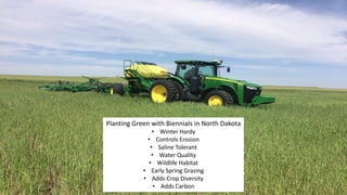 Planting Green with Biennials in North Dakota
• Winter Hardy
• Controls Erosion
• Saline Tolerant
• Water Quality
• Wildlife Habitat
• Early Spring Grazing
• Adds Crop Diversity
• Adds Carbon
 