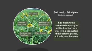 Soil Health Principles
Systems Approach
Soil Health: the
continued capacity of
soil to function as a
vital living ecosystem
that sustains plants,
animals, and humans.
Soil Armor
Minimize Soil
Disturbance
Plant DiversityContinual Live
Plant/Root
Livestock
Integration
 