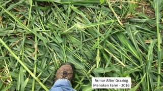 Armor After Grazing
Menoken Farm - 2016
 