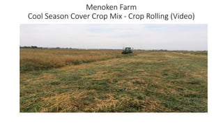 Menoken Farm
Cool Season Cover Crop Mix - Crop Rolling (Video)
 