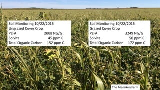 Soil Monitoring 10/22/2015
Ungrazed Cover Crop
PLFA 2008 NG/G
Solvita 45 ppm C
Total Organic Carbon 152 ppm C
Soil Monitoring 10/22/2015
Grazed Cover Crop
PLFA 3249 NG/G
Solvita 50 ppm C
Total Organic Carbon 172 ppm C
The Menoken Farm
 