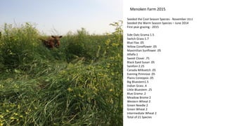 Seeded the Cool Season Species - November 2013
Seeded the Warm Season Species – June 2014
First year grazing - 2015
Side Oats Grama 1.5
Switch Grass 1.7
Blue Flax .05
Yellow Coneflower .05
Maximilian Sunflower .05
Alfalfa 1
Sweet Clover .75
Black Eyed Susan .05
Sainfoin 2.25
Canada Milkvetch .05
Evening Primrose .05
Plains Coreopsis .05
Big Bluestem1.5
Indian Grass .4
Little Bluestem .25
Blue Grama .2
Meadow Brome 2
Western Wheat 2
Green Needle 2
Green Wheat 2
Intermediate Wheat 2
Total of 21 Species
Menoken Farm 2015
 