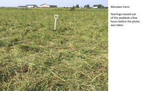 Menoken Farm
Yearlings moved out
of this paddock a few
hours before the photo
was taken.
 