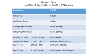 Starting Period 8/18/16
Ending Period 8/28/16
Total Grazing Period 11 Days
Starting Weight Per Heifer 798 lbs (363 Kg)
Ending Weight Per Heifer 835 lbs (380 Kg)
Total Gain Per Heifer 798 lbs – 835 lbs =
Daily Gain Per Heifer 37 lbs/11 Days =
37 lbs (17 Kg)
3.4 lbs Per Day Gain (1.5 Kg)
Gain Per Herd 17 head x 37lbs = 629 Total lbs (286 Kg)
Gain Per Acre 629 lbs/12 acres = 52 lbs Per Acre (58 Kg/Hectare)
Menoken Farm
Herd Size 17 Open Heifers – Field 1 – 2nd Rotation
 