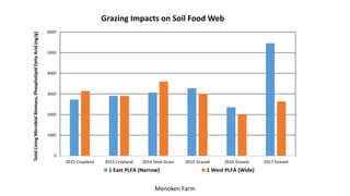 0
1000
2000
3000
4000
5000
6000
2012 Cropland 2013 Cropland 2014 Seed Grass 2015 Grazed 2016 Grazed 2017 Grazed
TotalLivingMicrobialBiomass,PhospholipidFattyAcid(ng/g)
Grazing Impacts on Soil Food Web
1 East PLFA (Narrow) 1 West PLFA (Wide)
Menoken Farm
 