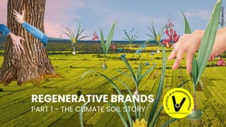 The principles of regeneration
taliacollective
REGENERATIVE BRANDS
PART 1 - THE CLIMATE SOIL STORY
 