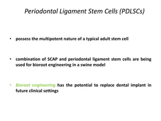 REGENERATIVE ENDODONTICS.pptx