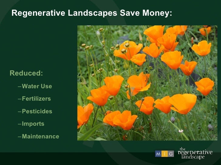 Regenerative Landscape Green Schools Summit Presentation