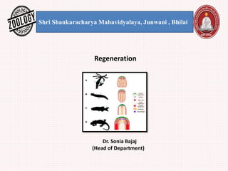 Shri Shankaracharya Mahavidyalaya, Junwani , Bhilai
Regeneration
Dr. Sonia Bajaj
(Head of Department)
 