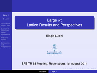 Large N
B. Lucini
The ’t Hooft
large-N limit
Quenched
orientifold
planar
equivalence
Reduced
models
Conclusions
and
Perspectives
Large N:
Lattice Results and Perspectives
Biagio Lucini
SFB TR 55 Meeting, Regensburg, 1st August 2014
B. Lucini Large N
 