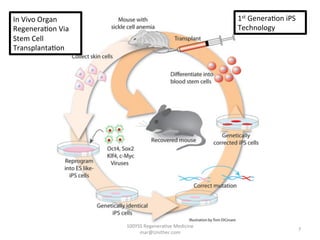100YSS	
  Regenera-ve	
  Medicine	
  
mar@Unither.com	
  
7	
  
In	
  Vivo	
  Organ	
  
Regenera-on	
  Via	
  
Stem	
  Cell	
  
Transplanta-on	
  
1st	
  Genera-on	
  iPS	
  
Technology	
  
 