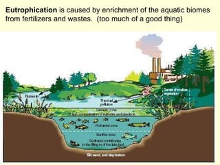 Eutrophication  is caused by enrichment of the aquatic biomes from fertilizers and wastes.  (too much of a good thing) 