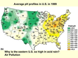 Average pH profiles in U.S. in 1999  Why is the eastern U.S. so high in acid rain?  Air Pollution 