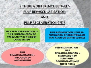 IS THERE A DIFFERENCE BETWEEN
PULP REVASCULARISATION
AND
PULP REGENERATION ?????
PULP REVASCULARISATION IS
THE RE-INTRODUCTION OF
VASCULARITY IN THE ROOT
CANAL SYSTEM
PULP REGENERATION IS THE RE-
POPULATION OF ODONTOBLASTS
THAT ALIGN ON DENTIN SURFACE
PULP
REVASCULARISATION =
INDUCTION OF
ANGIOGENESIS
PULP REGENERATION =
PULP
REVASCULARISATION +
RESTORATION OF
FUNCTIONAL
ODONTOBLASTS AND
NERVE FIBRES
 
