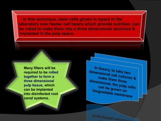 Many filters will be
required to be rolled
together to form a
three dimensional
pulp tissue, which
can be implanted
into disinfected root
canal systems.
 