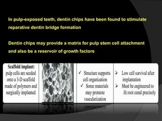 In pulp-exposed teeth, dentin chips have been found to stimulate
reparative dentin bridge formation
Dentin chips may provide a matrix for pulp stem cell attachment
and also be a reservoir of growth factors
 