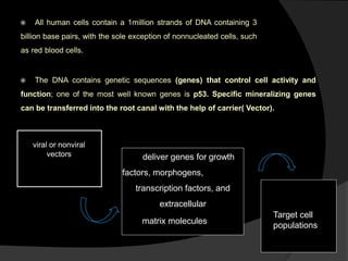  All human cells contain a 1million strands of DNA containing 3
billion base pairs, with the sole exception of nonnucleated cells, such
as red blood cells.
 The DNA contains genetic sequences (genes) that control cell activity and
function; one of the most well known genes is p53. Specific mineralizing genes
can be transferred into the root canal with the help of carrier( Vector).
viral or nonviral
vectors deliver genes for growth
factors, morphogens,
transcription factors, and
extracellular
matrix molecules
Target cell
populations
 
