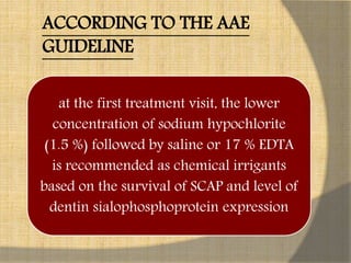 at the first treatment visit, the lower
concentration of sodium hypochlorite
(1.5 %) followed by saline or 17 % EDTA
is recommended as chemical irrigants
based on the survival of SCAP and level of
dentin sialophosphoprotein expression
ACCORDING TO THE AAE
GUIDELINE
 