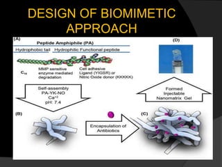 DESIGN OF BIOMIMETIC
APPROACH
 