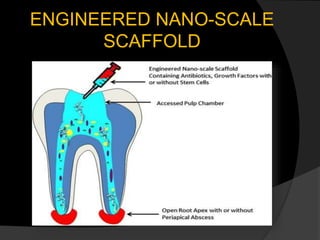 ENGINEERED NANO-SCALE
SCAFFOLD
 