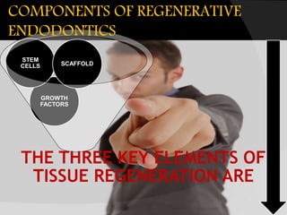 THE THREE KEY ELEMENTS OF
TISSUE REGENERATION ARE
GROWTH
FACTORS
STEM
CELLS SCAFFOLD
COMPONENTS OF REGENERATIVE
ENDODONTICS
 