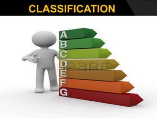 CLASSIFICATION
 