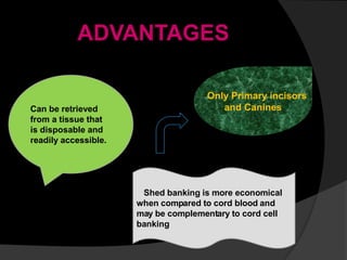 ADVANTAGES
Shed banking is more economical
when compared to cord blood and
may be complementary to cord cell
banking
Can be retrieved
from a tissue that
is disposable and
readily accessible.
Only Primary incisors
and Canines
 