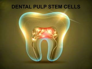 DENTAL PULP STEM CELLS
 