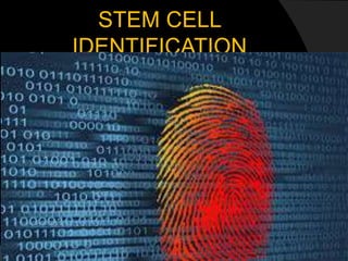 STEM CELL
IDENTIFICATION
 