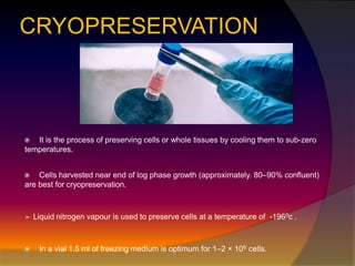 CRYOPRESERVATION
 It is the process of preserving cells or whole tissues by cooling them to sub-zero
temperatures.
 Cells harvested near end of log phase growth (approximately. 80–90% confluent)
are best for cryopreservation.
➢ Liquid nitrogen vapour is used to preserve cells at a temperature of -1960c .
 In a vial 1.5 ml of freezing medium is optimum for 1–2 × 106 cells.
 