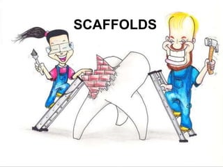 SCAFFOLDSSCAFFOLDS
 