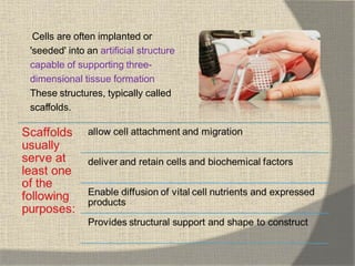 Cells are often implanted or
'seeded' into an artificial structure
capable of supporting three-
dimensional tissue formation.
These structures, typically called
scaffolds.
 