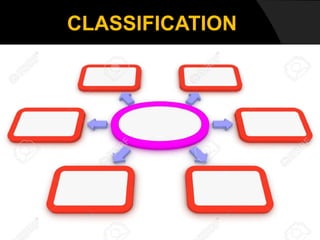 CLASSIFICATION
 