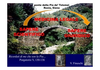SAPERE
SCIENTIFICO
SAPERE
GIURIDICO
MEDICINA LEGALE
Ricordati di me che son la Pia…
Purgatorio V, 130-136
V. Fineschi
ponte della Pia de’ Tolomei
Rosia, Siena
 