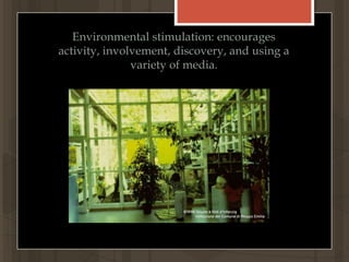 Environmental stimulation: encourages activity, involvement, discovery, and using a variety of media. 