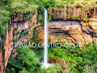 REGIÃO CENTRO-OESTE
 