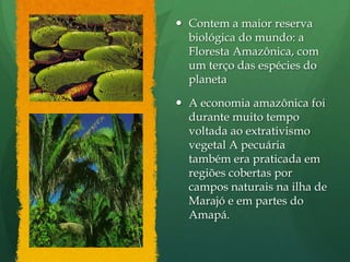 Contem a maior reserva biológica do mundo: a Floresta Amazônica, com um terço das espécies do planetaA economia amazônica foi durante muito tempo voltada ao extrativismo vegetal A pecuária também era praticada em regiões cobertas por campos naturais na ilha de Marajó e em partes do Amapá.